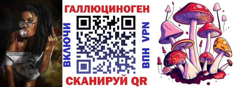 Псилоцибиновые грибы GOLDEN TEACHER  кракен ССЫЛКА  Багратионовск 